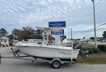 2006 Cape Horn 17 CC Boat